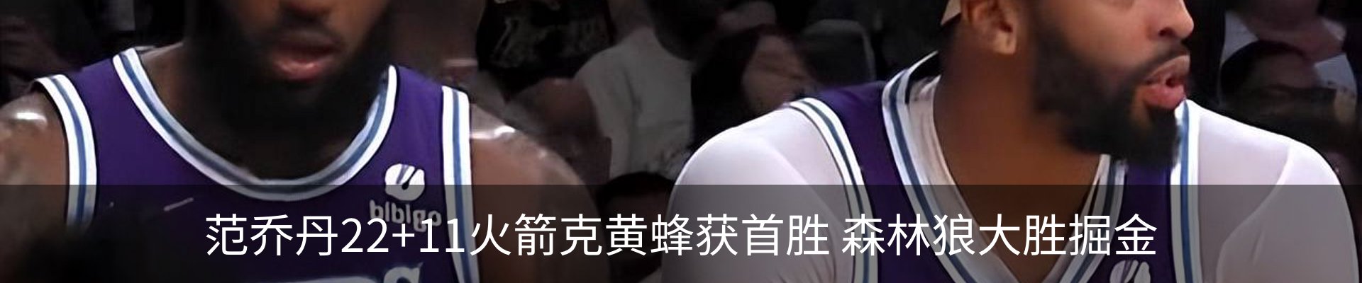 新闻动态